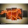 Acrylverf schilderij Paard | Kleur: Oranje | PN00102