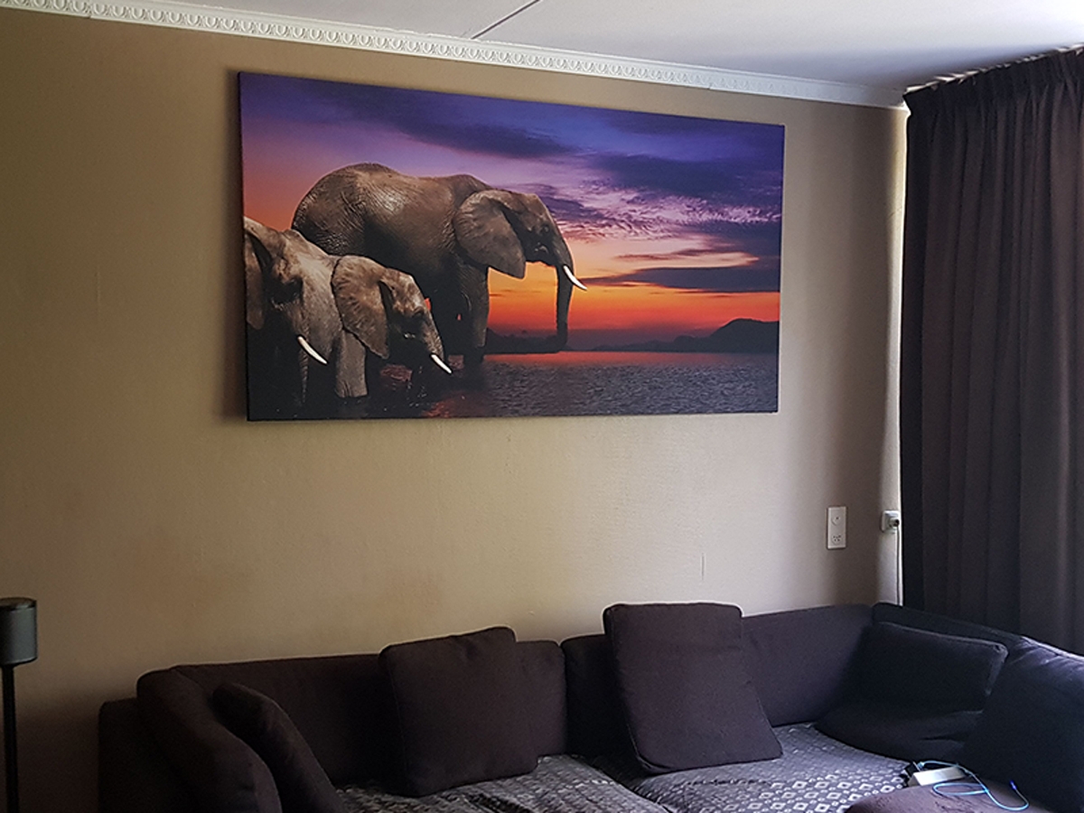 Canvas schilderij olifant 190x100 GroepArt